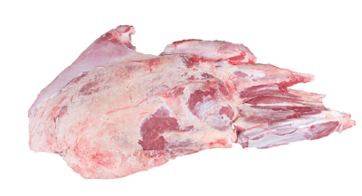 imagem de Paleta completa